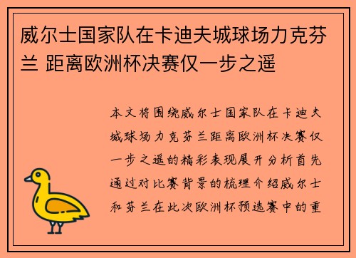 威尔士国家队在卡迪夫城球场力克芬兰 距离欧洲杯决赛仅一步之遥